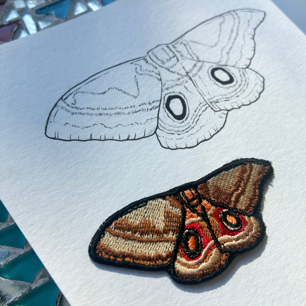 Hand sketch of mopane patch, done by Demi Bucklow.