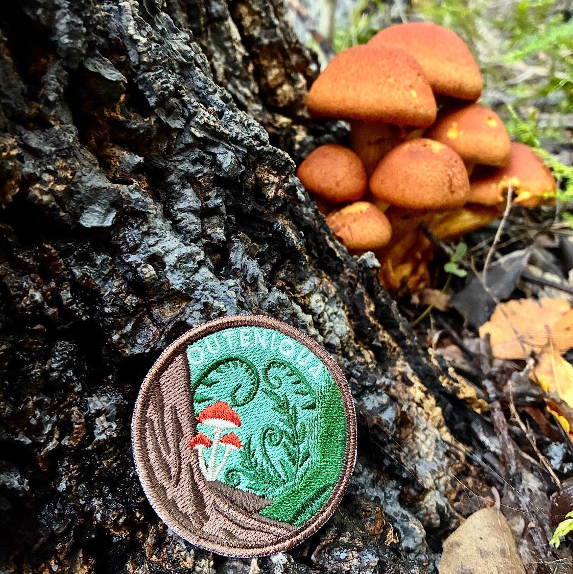 A circular embroidered patch with a brown border and green center featuring a mushroom and the word 'OUTENIQUA', placed on the side of a dark tree trunk in a forest with orange-brown mushrooms growing nearby.