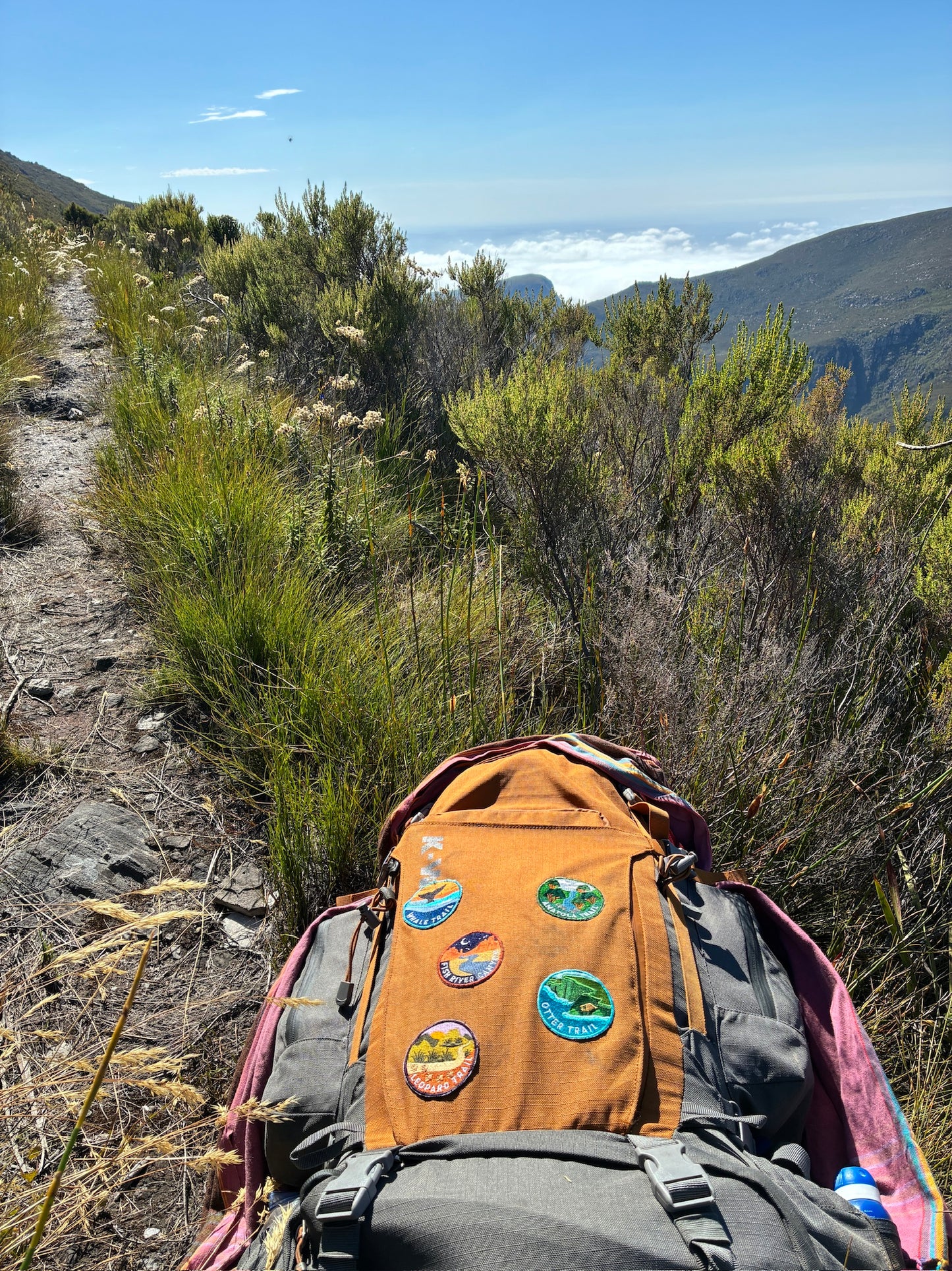 Leopard Trail Patch