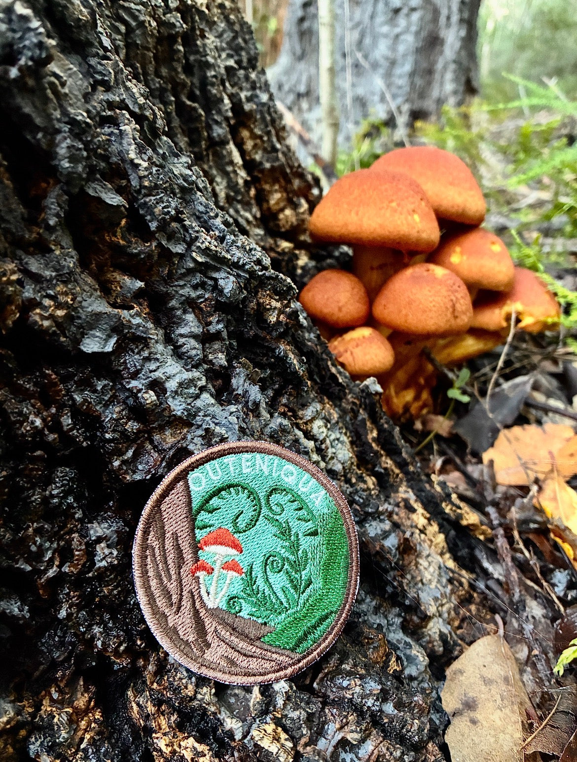 Outeniqua Patch