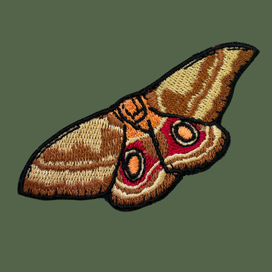 An embroidered moth patch with brown, beige, orange, and red details outlined in black, shown on a solid dark green background.