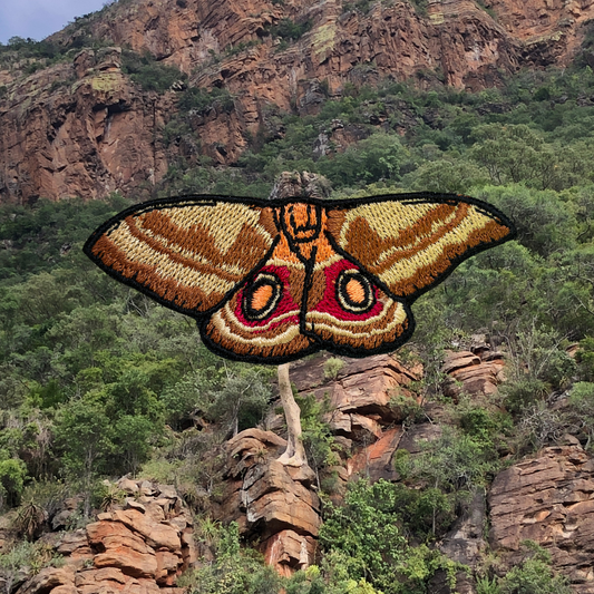 An embroidered moth patch with brown, gold, red, and black details is superimposed over a natural mountain and rocky landscape background.