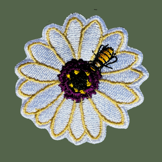Cape Rain Daisy Patch