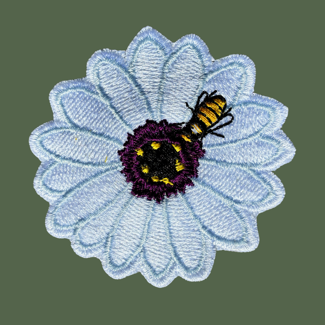 Cape Rain Daisy Patch