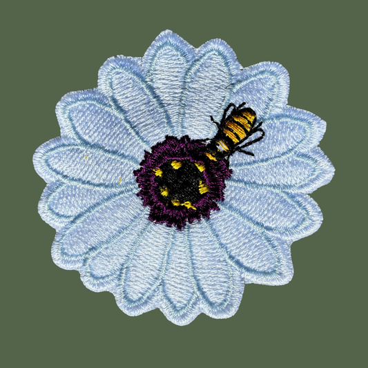 Cape Rain Daisy Patch